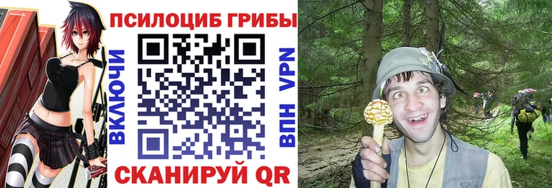 Галлюциногенные грибы мицелий  Кола 